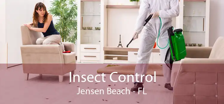 Insect Control Jensen Beach - FL