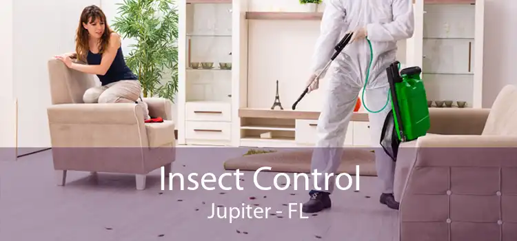 Insect Control Jupiter - FL
