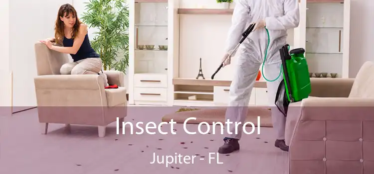 Insect Control Jupiter - FL