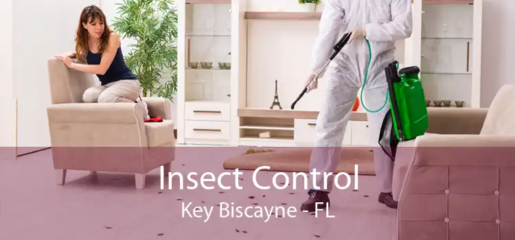 Insect Control Key Biscayne - FL