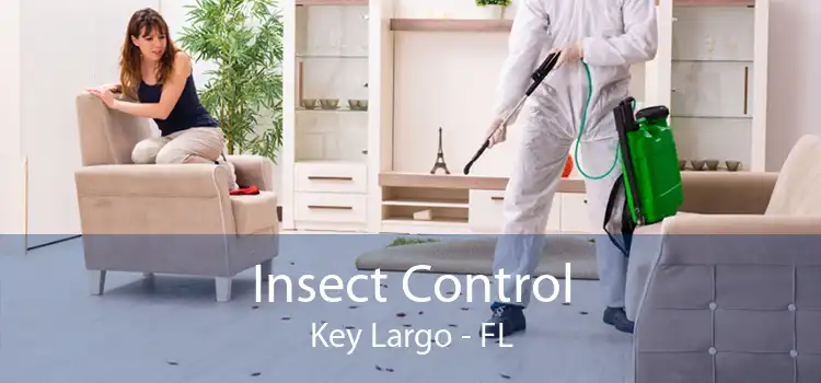 Insect Control Key Largo - FL