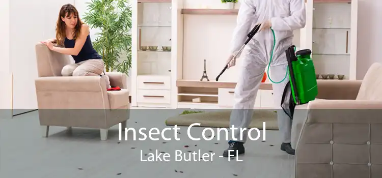 Insect Control Lake Butler - FL