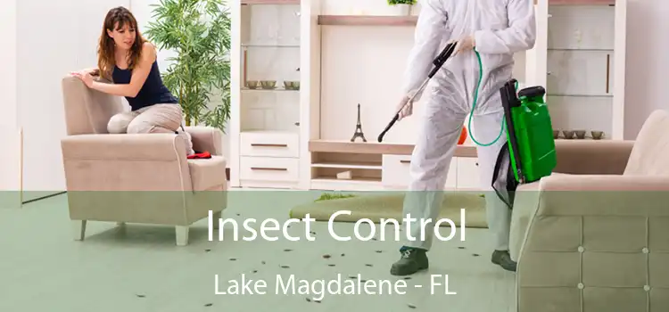 Insect Control Lake Magdalene - FL