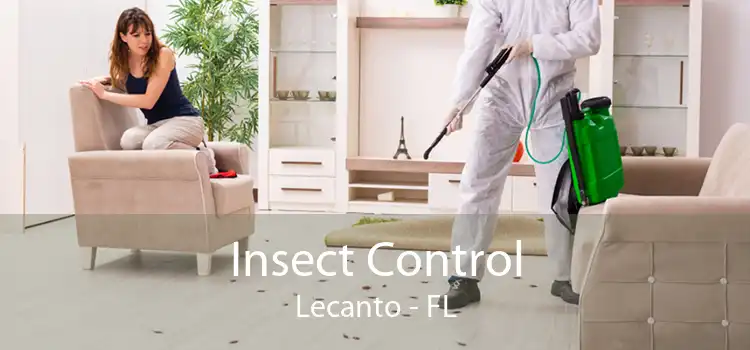 Insect Control Lecanto - FL