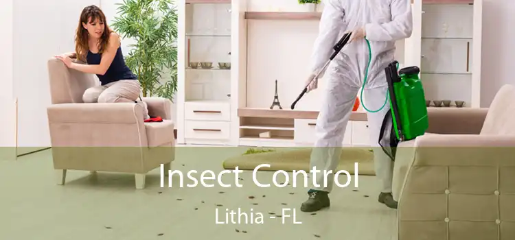  Insect Control Lithia - FL