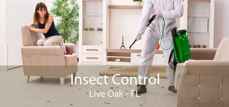 Insect Control Live Oak - FL