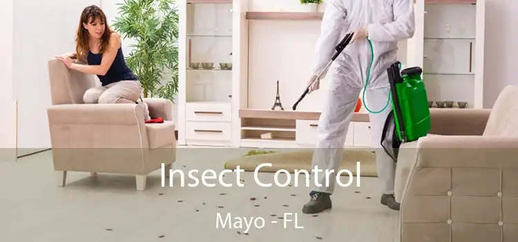 Insect Control Mayo - FL