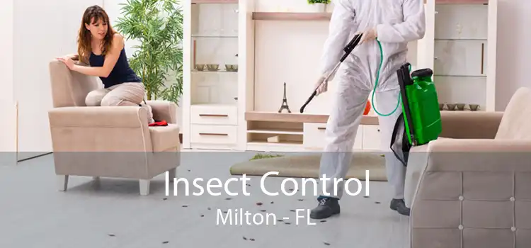 Insect Control Milton - FL