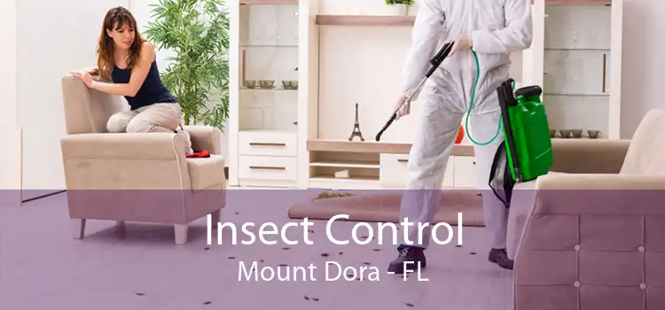 Insect Control Mount Dora - FL