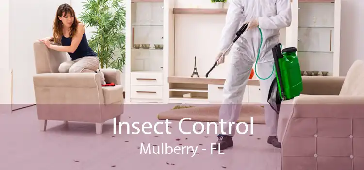Insect Control Mulberry - FL