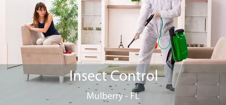 Insect Control Mulberry - FL