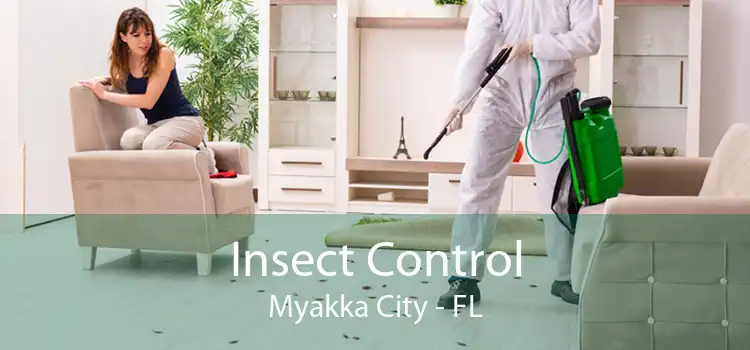 Insect Control Myakka City - FL