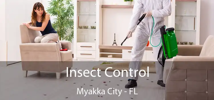 Insect Control Myakka City - FL