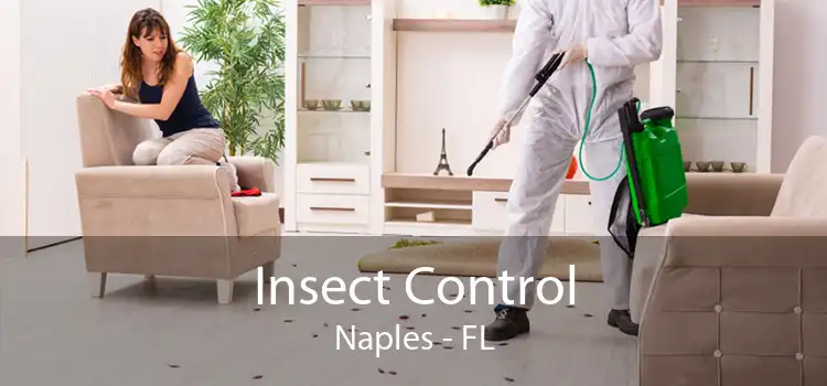 Insect Control Naples - FL