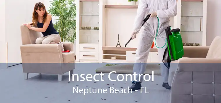 Insect Control Neptune Beach - FL