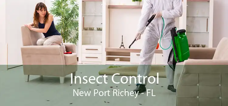 Insect Control New Port Richey - FL