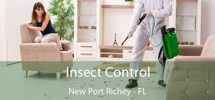 Insect Control New Port Richey - FL