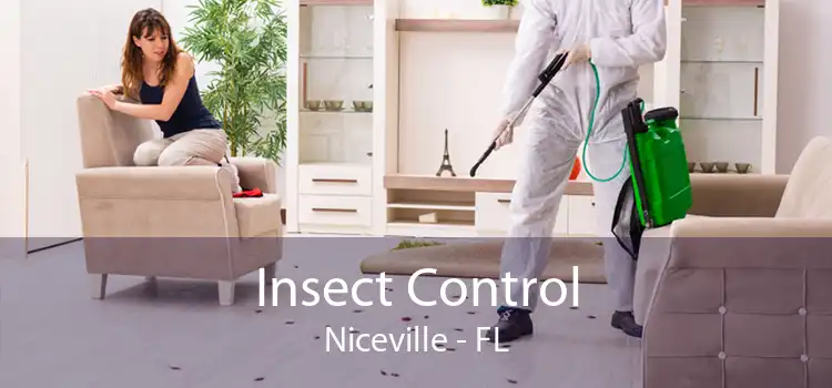 Insect Control Niceville - FL