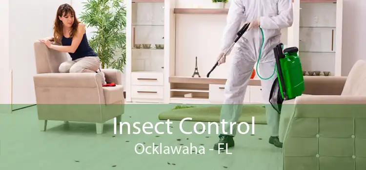 Insect Control Ocklawaha - FL