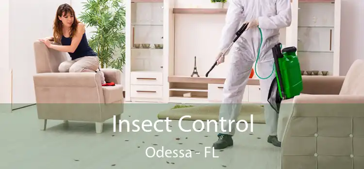 Insect Control Odessa - FL