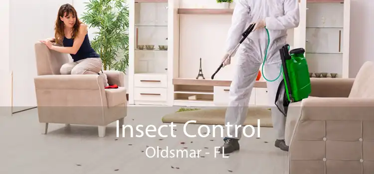 Insect Control Oldsmar - FL