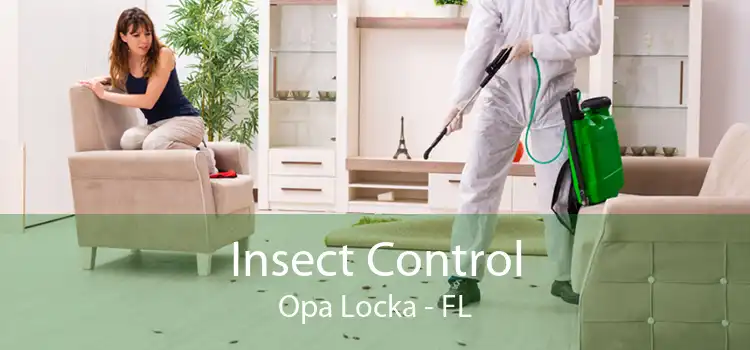 Insect Control Opa Locka - FL