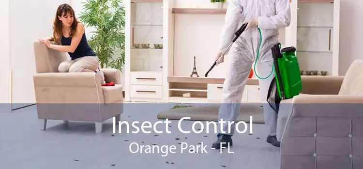Insect Control Orange Park - FL