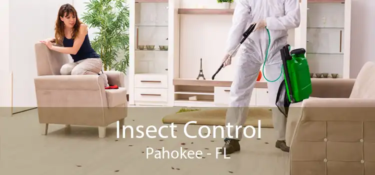 Insect Control Pahokee - FL