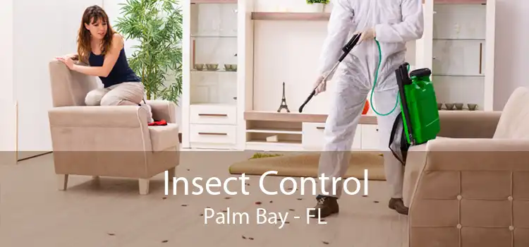 Insect Control Palm Bay - FL