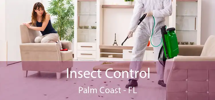 Insect Control Palm Coast - FL