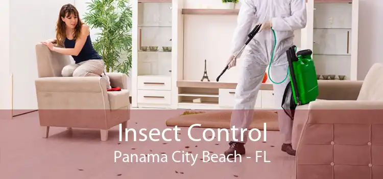 Insect Control Panama City Beach - FL
