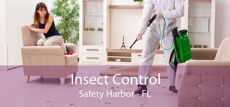 Insect Control Safety Harbor - FL