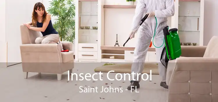 Insect Control Saint Johns - FL