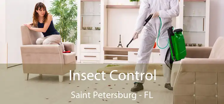 Insect Control Saint Petersburg - FL