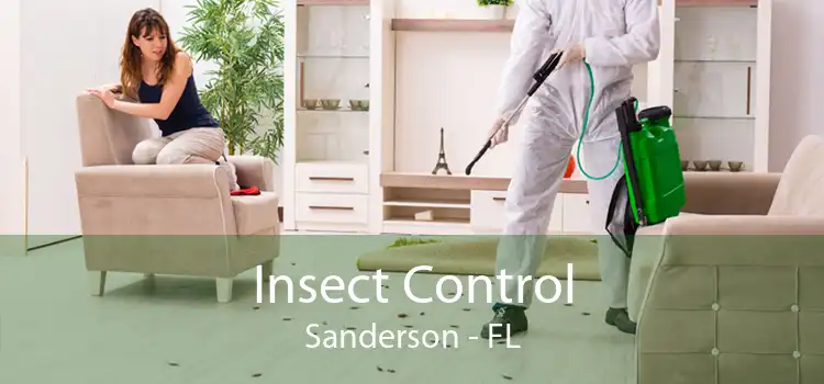 Insect Control Sanderson - FL