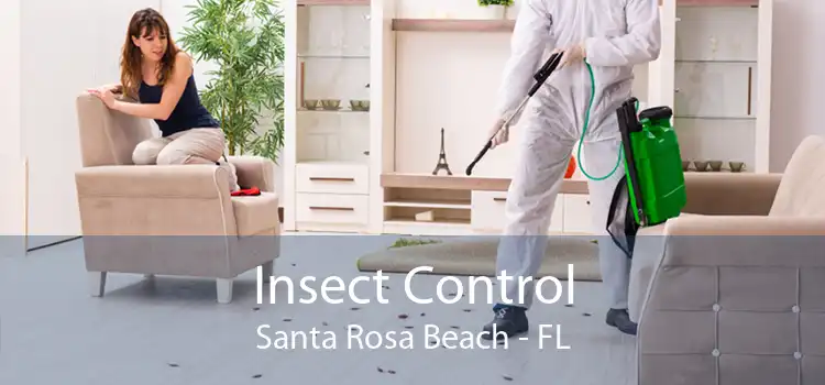 Insect Control Santa Rosa Beach - FL
