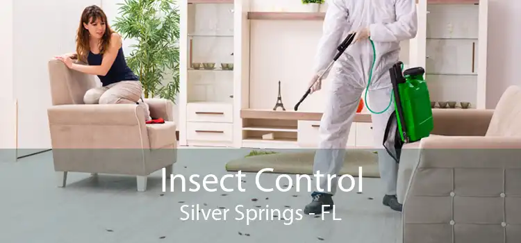 Insect Control Silver Springs - FL