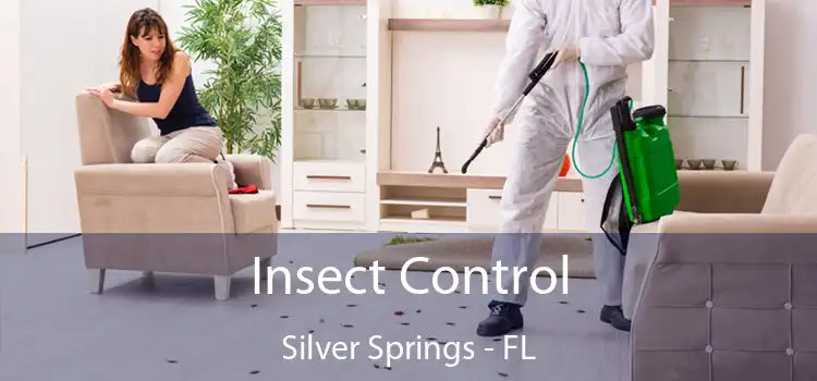 Insect Control Silver Springs - FL