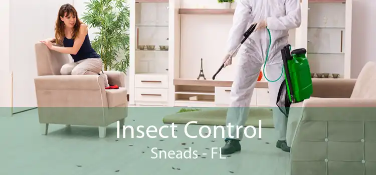 Insect Control Sneads - FL