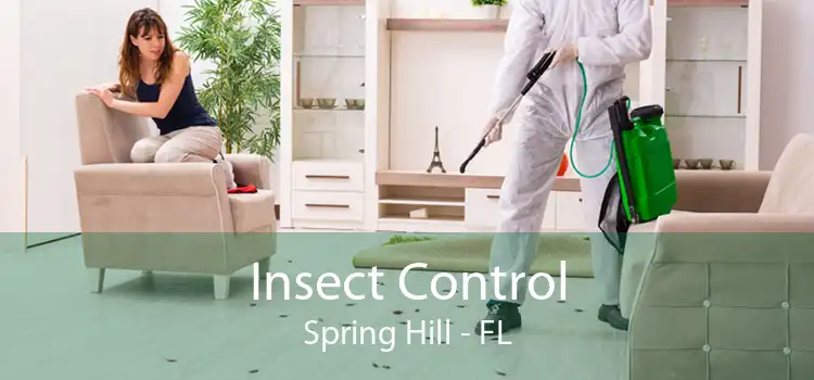 Insect Control Spring Hill - FL