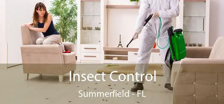 Insect Control Summerfield - FL