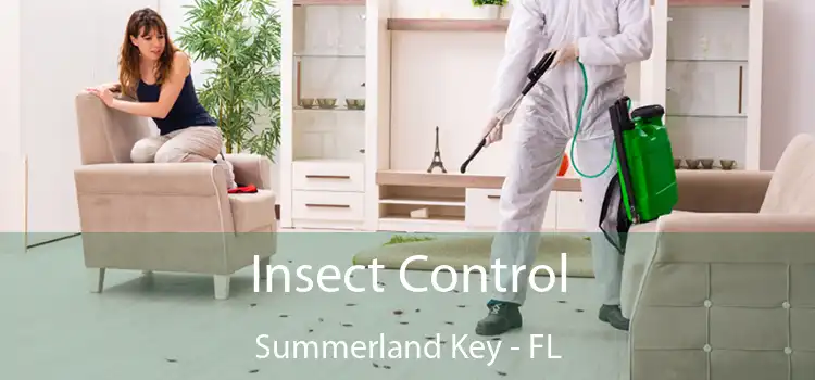 Insect Control Summerland Key - FL