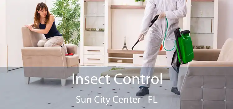 Insect Control Sun City Center - FL