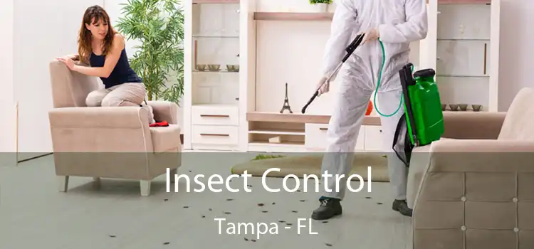 Insect Control Tampa - FL