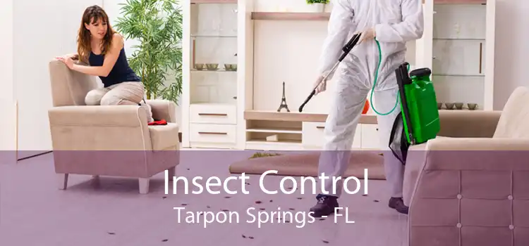 Insect Control Tarpon Springs - FL