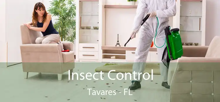  Insect Control Tavares - FL