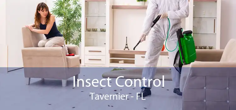 Insect Control Tavernier - FL
