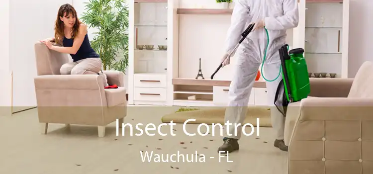 Insect Control Wauchula - FL