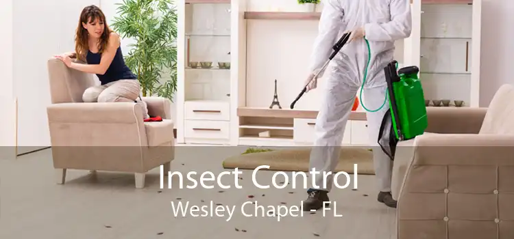 Insect Control Wesley Chapel - FL
