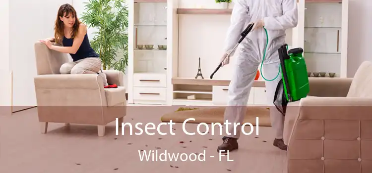  Insect Control Wildwood - FL